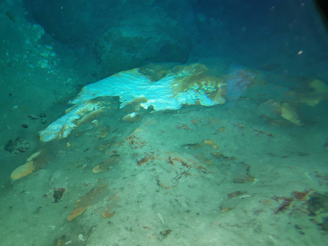 Tapis bactérien dans la zone à hydrothermalisme diffus explorée lors de la dernière plongée